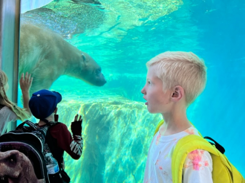 polar bear selfie 